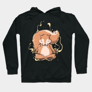 Yoga Spiritual Squirrel Pet Owners Hoodie